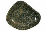 Polished Kambaba Jasper Bowl - Madagascar #337678-1